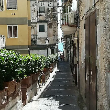Apartment Mediterranee